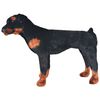 Product Thumbnail Image 2 of 5