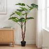 Product Thumbnail Image 2 of 6