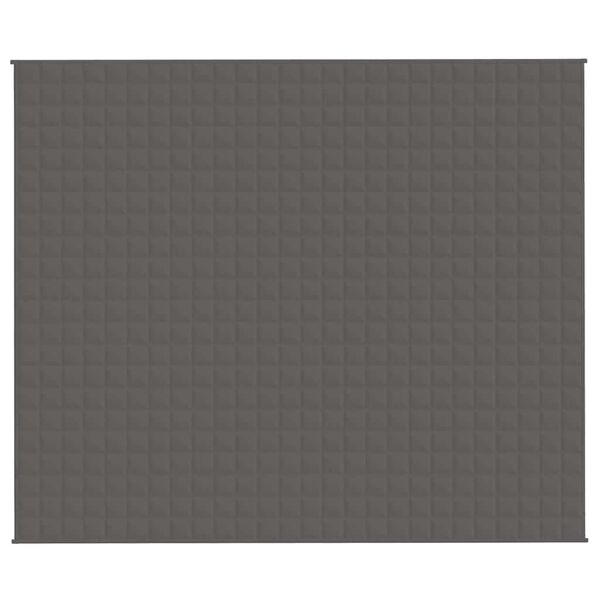 vidaXL Weighted Blanket Grey 220x260 cm 11 kg Fabric