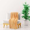 Product Thumbnail Image 2 of 5