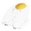 CORNAT Toilet Seat with Soft-close LEMON Thermoplastic