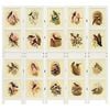 vidaXL Romdivider Panel Folding White 176.5 x 165 cm MDF
