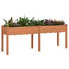 Product Thumbnail Image 3 of 8