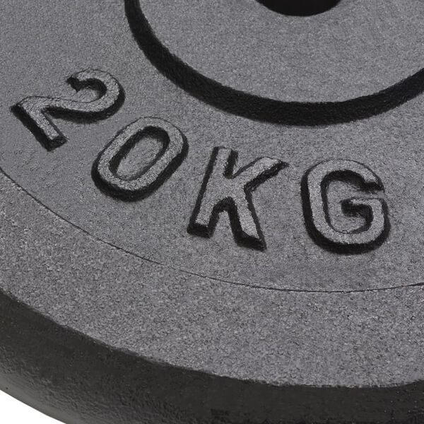 vidaXL Weight Plates 2 pcs 2x20 kg Cast Iron