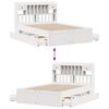 Product Thumbnail Image 13 of 15