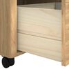 Product Thumbnail Image 11 of 13