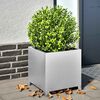 Product Thumbnail Image 2 of 11