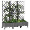Product Thumbnail Image 3 of 8