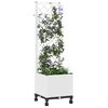 Product Thumbnail Image 3 of 8