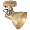 vidaXL Industrial Wall/Ceiling Lamps 2 pcs Brass 20x25 cm E27