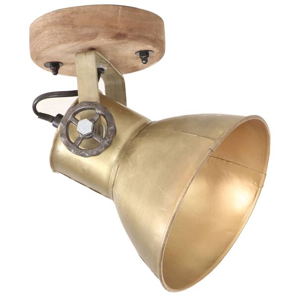 vidaXL Industrial Wall/Ceiling Lamps 2 pcs Brass 20x25 cm E27