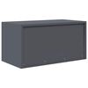 vidaXL Storage Cabinet Anthracite 80 x 40 x 40 cm Cold-Rolled Steel