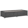 vidaXL Day Bed without Mattress Grey 90x200 cm Solid Wood Pine