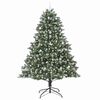 Product Thumbnail Image 3 of 16