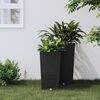 Product Thumbnail Image 2 of 7
