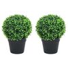 vidaXL Artificial Boxwood Plants 2 pcs with Pots Ball Shaped Green 37 cm