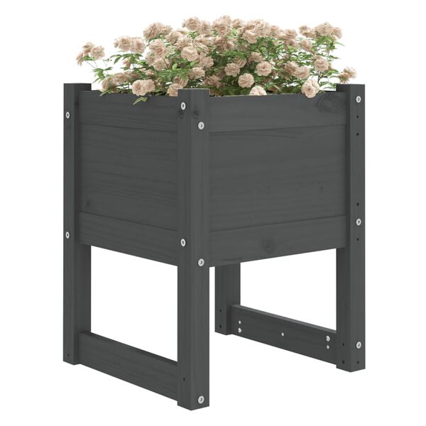 vidaXL Planters 2 pcs Grey 40x40x52.5 cm Solid Wood Pine
