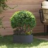 Product Thumbnail Image 2 of 10