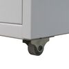 vidaXL File Cabinet with 5 Drawers Grey 68.5 cm Steel