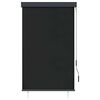vidaXL Outdoor Roller Blind 100x250 cm Anthracite