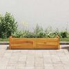 vidaXL Garden Raised Bed Acacia Wood 100x30x25 cm