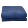 vidaXL Tent Carpet Blue 5x3 m