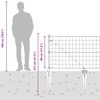 Product Thumbnail Image 17 of 17