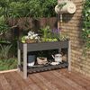 vidaXL Garden Raised Bed with Shelf Grey 120x50x75 cm WPC