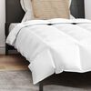 vidaXL Summer Duvet with Pillow 2 pcs White Down Feather