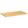 vidaXL Desk Top 100x60x2.5 cm Bamboo