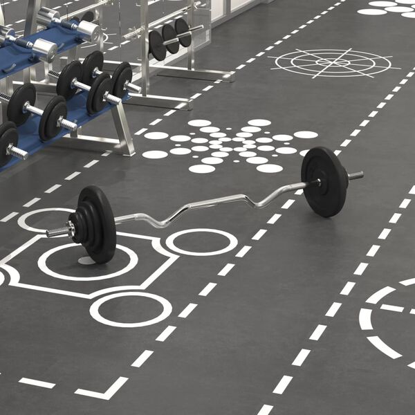 vidaXL Barbell with Plates Set 30 kg Cast Iron & Chrome Plated Steel