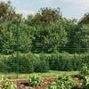 Product Thumbnail Image 2 of 6