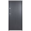 vidaXL Front Door Anthracite 100x200 cm Aluminium