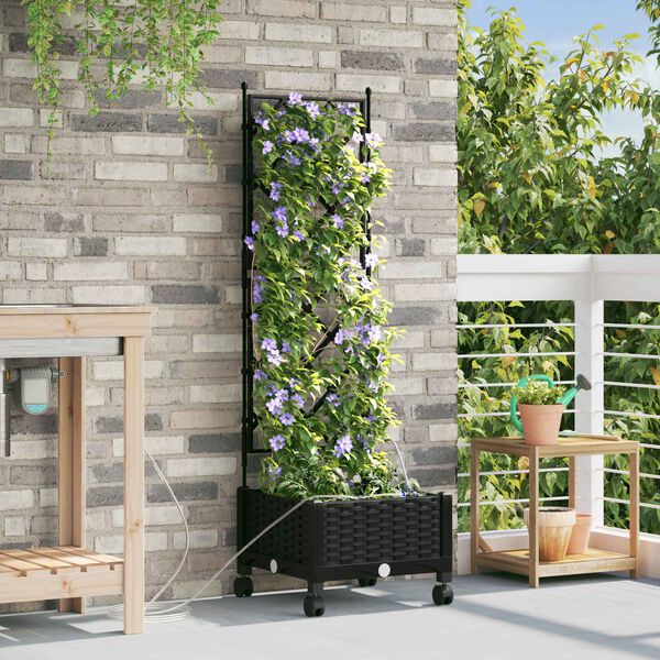 Showing Product Image 2 of 7