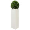 Product Thumbnail Image 3 of 10