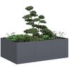 vidaXL Planter Anthracite 120x80x40 cm Steel