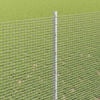 Product Thumbnail Image 4 of 14