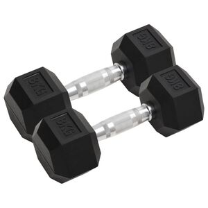 vidaXL Dumbbells 2 pcs 8 kg Total Cast Iron
