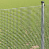 Product Thumbnail Image 4 of 9