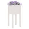 Product Thumbnail Image 3 of 8