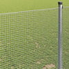 Product Thumbnail Image 4 of 13