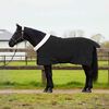 vidaXL Horse Blanket Black 145 cm Polar fleece
