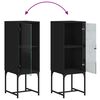 vidaXL Side Cabinet with Glass Doors Black 35x37x100 cm