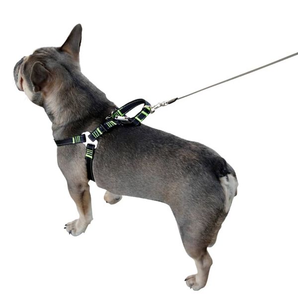 Kerbl Pet Car Safety Harness 44-55 cm Black