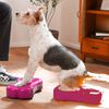 FitPAWS Pet Balance Platform Mini K9FITbone 2 pcs 29x16.5x6 cm