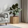 Product Thumbnail Image 2 of 9