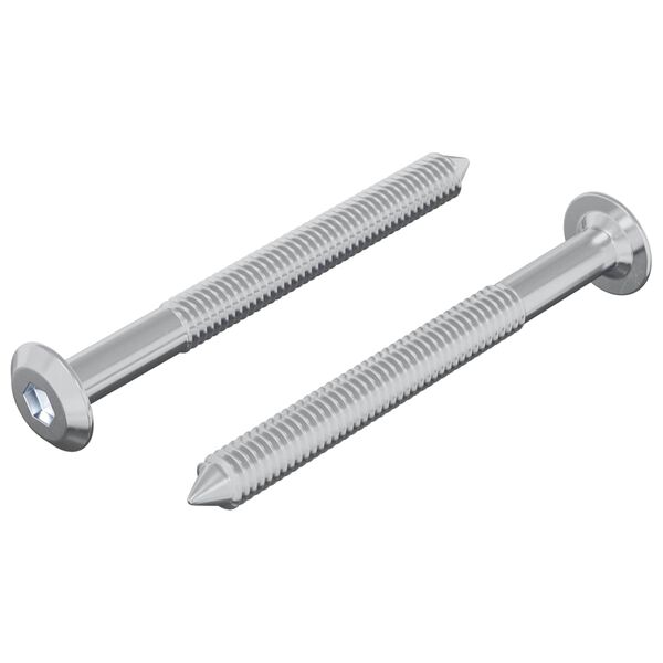 vidaXL Screw 2 pcs Silver M6 x 60 mm Steel