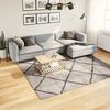 vidaXL Shaggy Rug PAMPLONA High Pile Modern Beige and Anthracite 240x240 cm