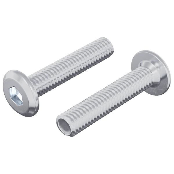 vidaXL Lock Screw Plain 2 pcs Silver M6 x 30 mm Steel