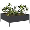 Product Thumbnail Image 8 of 10